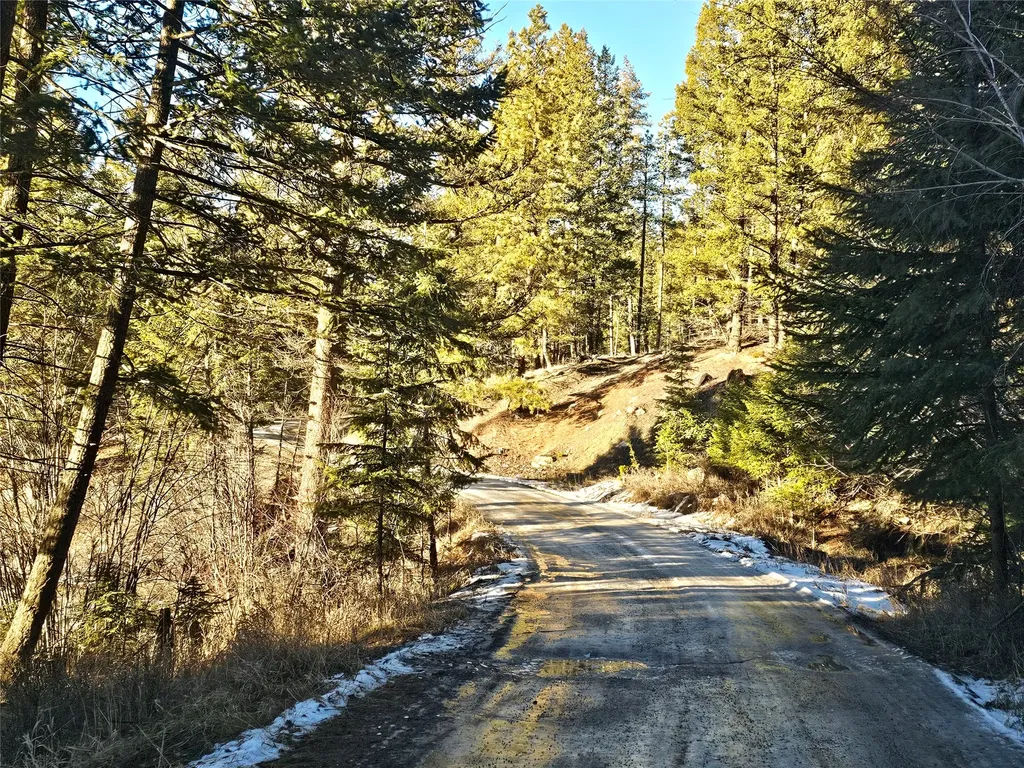1330 Coon Hollow Road Kila MT 59920