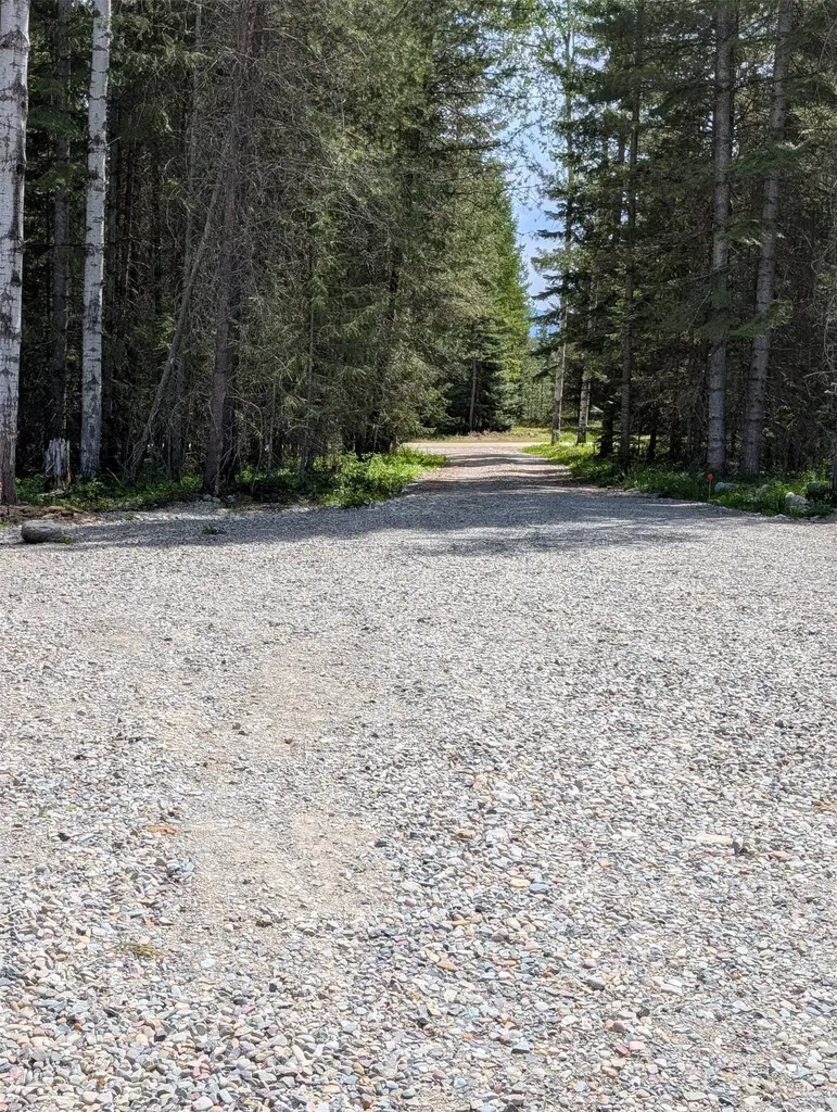 8 Hidden Meadows Way Trout Creek MT 59874