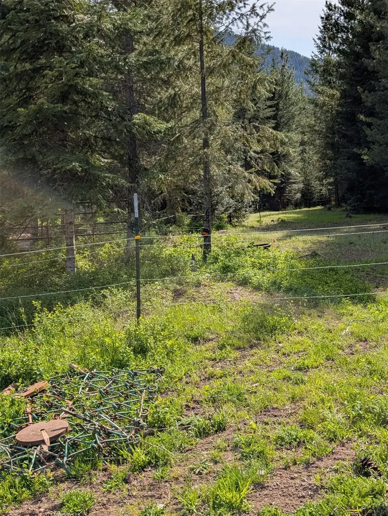 8 Hidden Meadows Way Trout Creek MT 59874