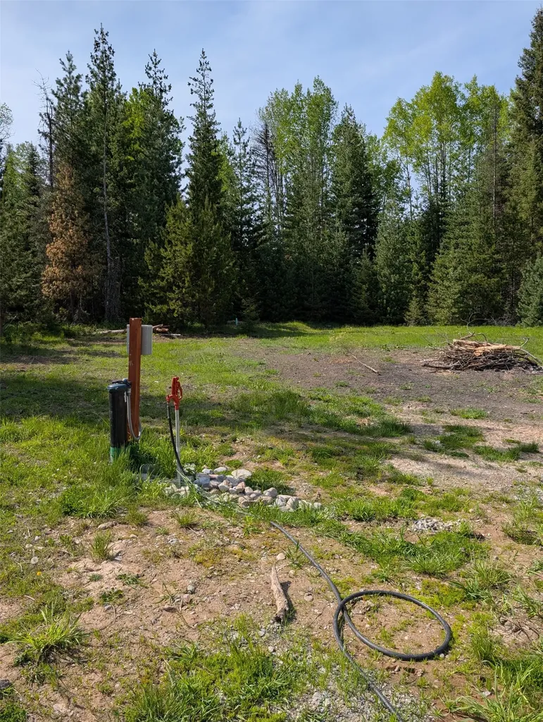 8 Hidden Meadows Way Trout Creek MT 59874