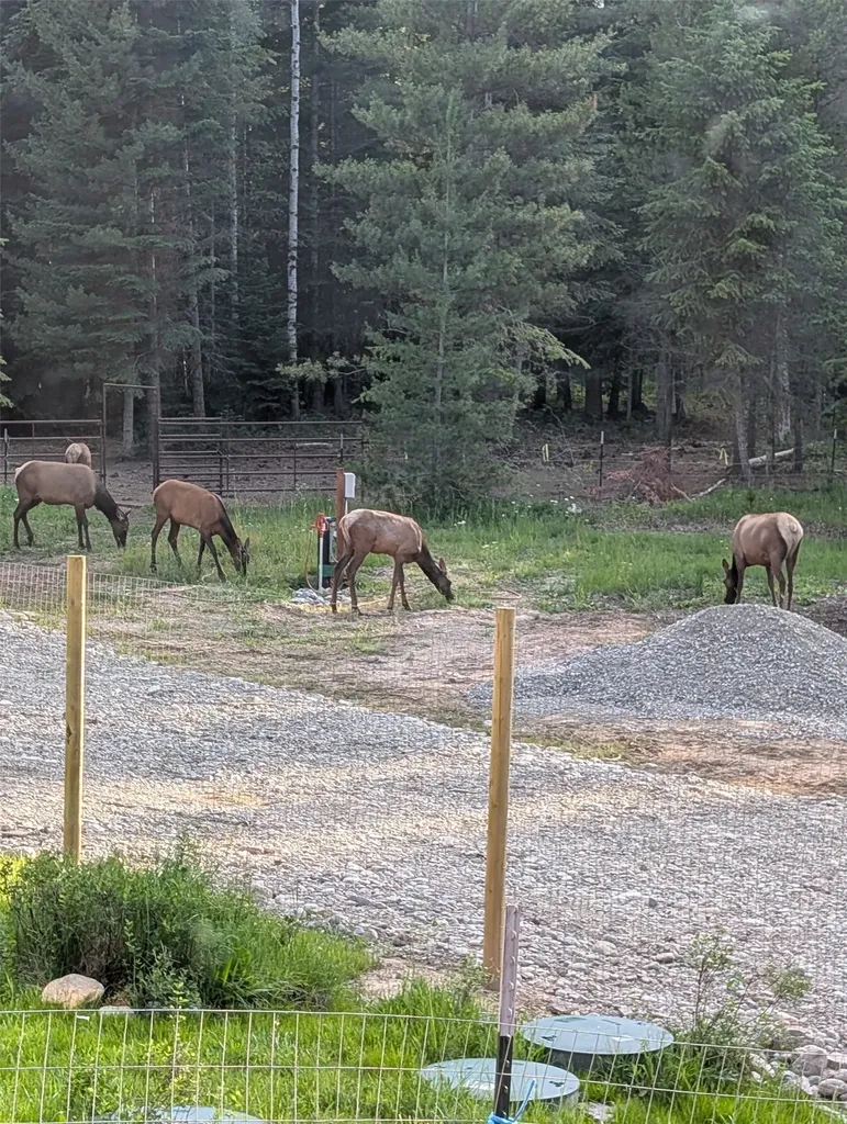 8 Hidden Meadows Way Trout Creek MT 59874