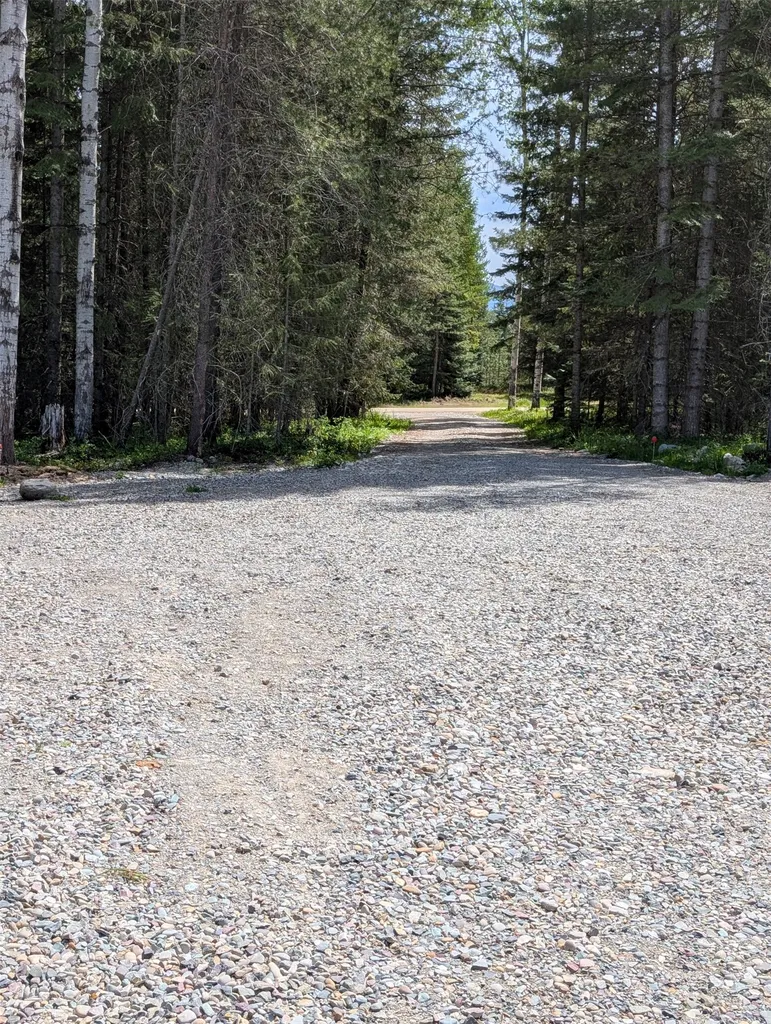 8 Hidden Meadows Way Trout Creek MT 59874