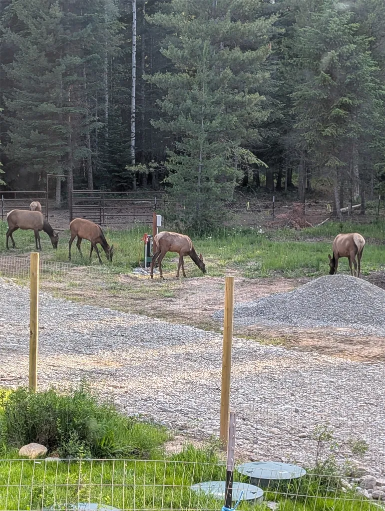 8 Hidden Meadows Way Trout Creek MT 59874