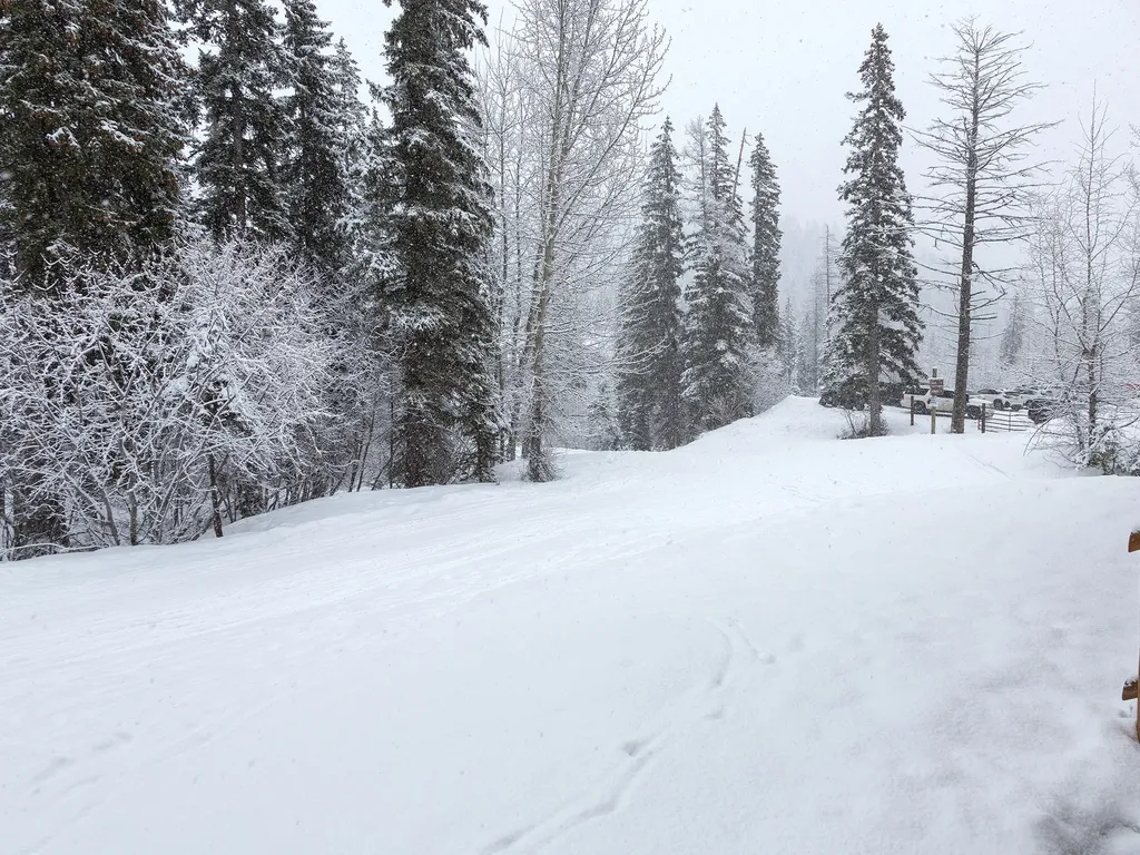 325 Moose Run Drive Whitefish MT 59937