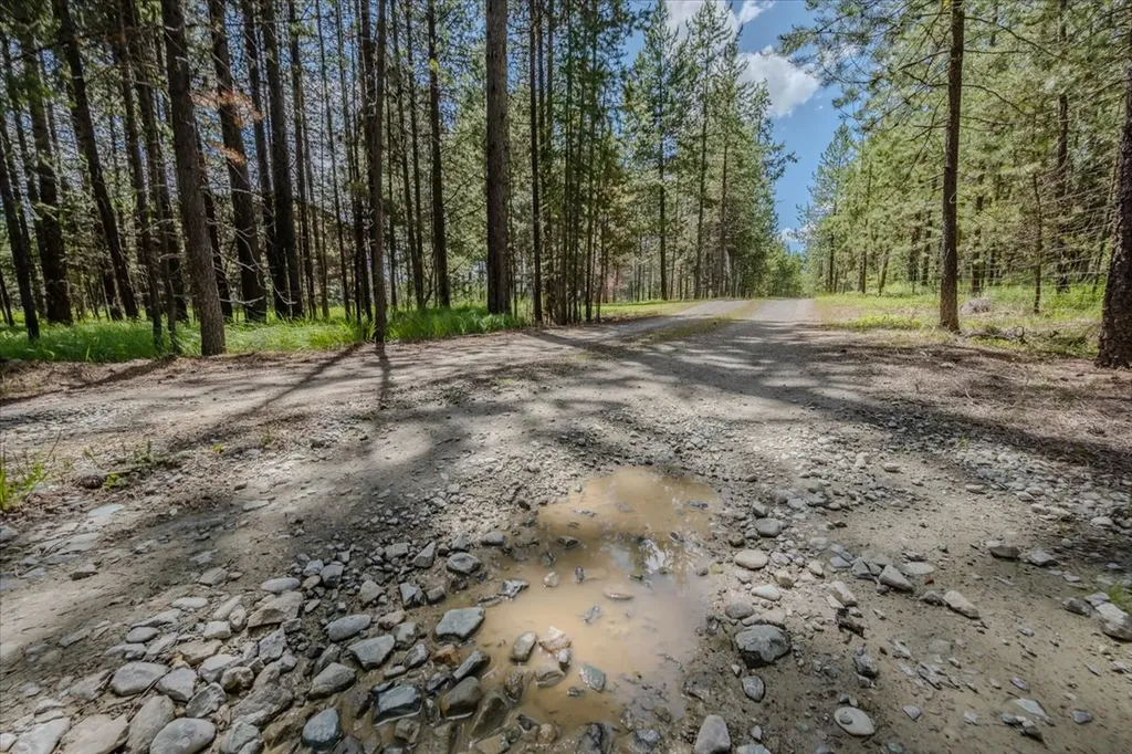 520 Gopher Lane Marion MT 59925