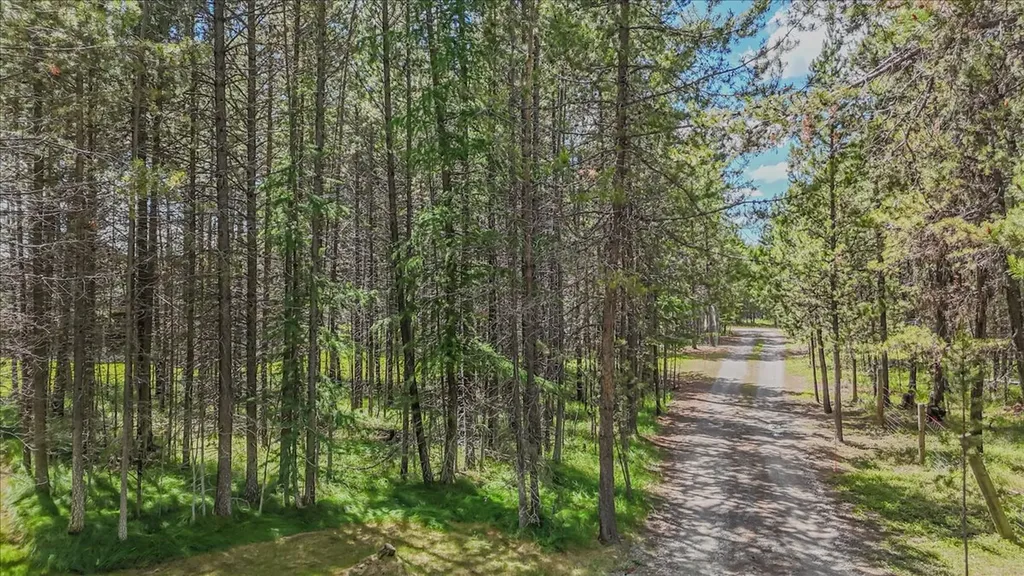 520 Gopher Lane Marion MT 59925