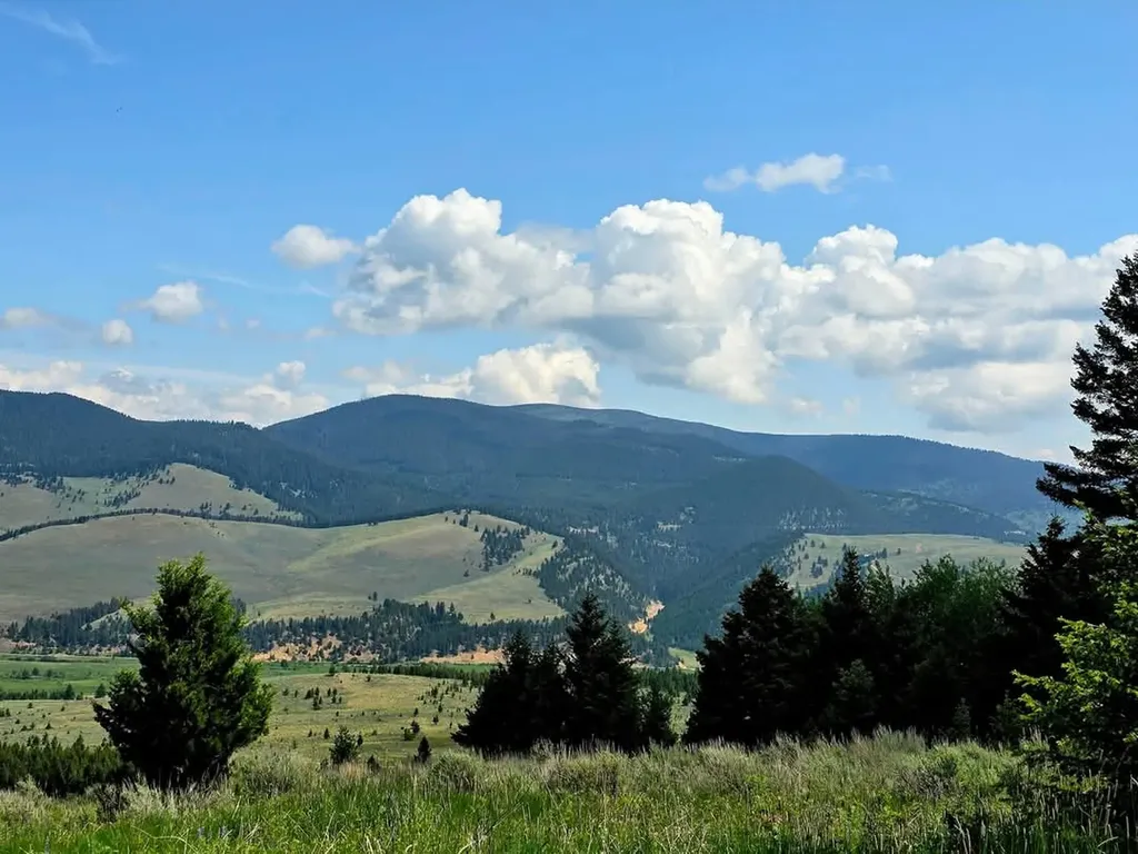 Tbd Tract 5 Hall Creek Helmville MT 59843