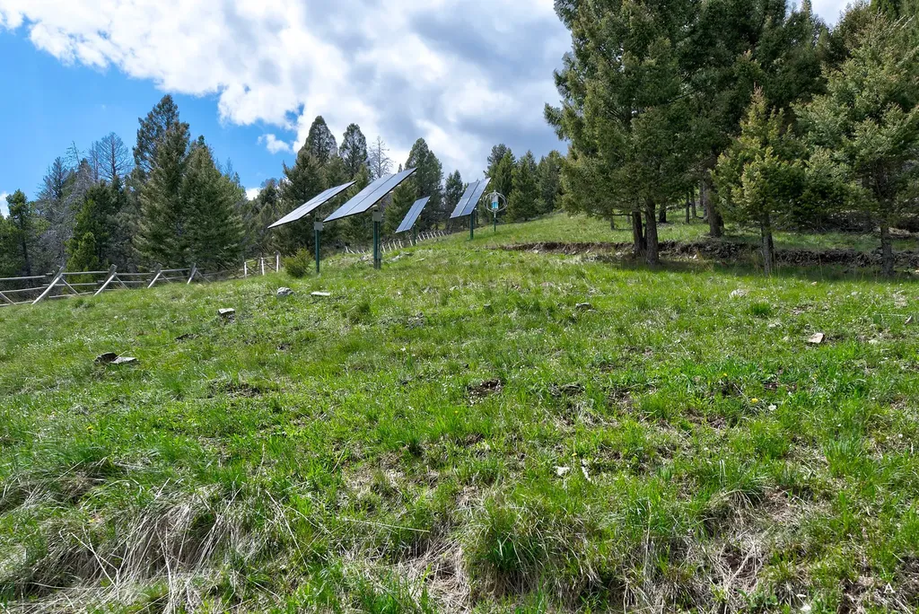 2988 Moose Gulch Road Elliston MT 59728