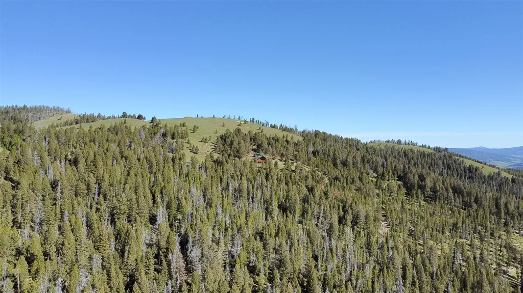 2988 Moose Gulch Road Elliston MT 59728