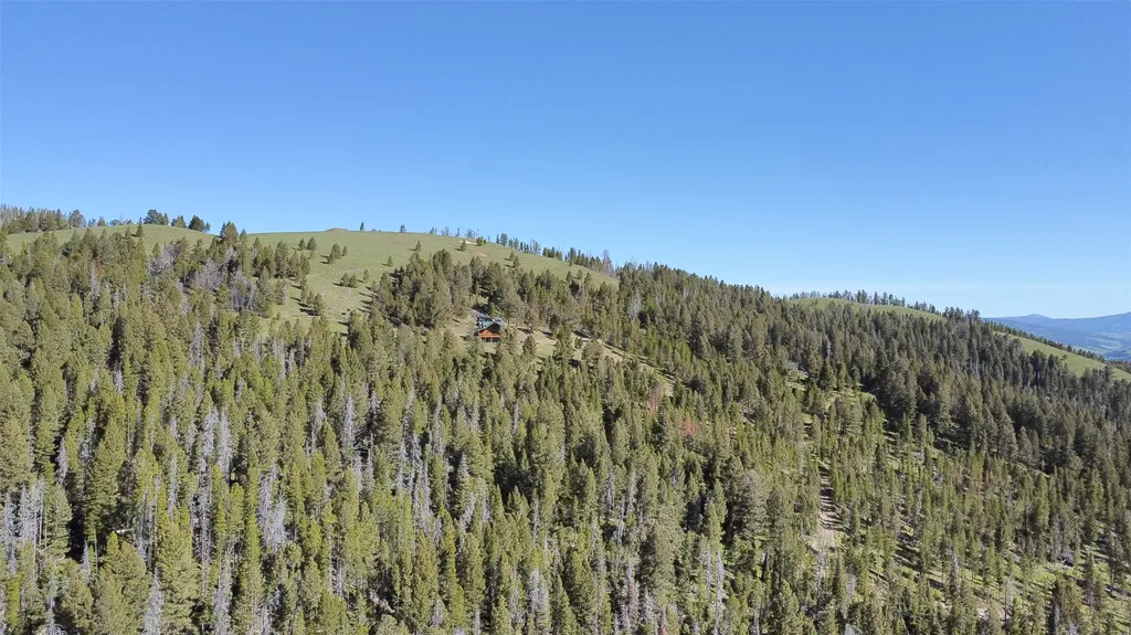 2988 Moose Gulch Road Elliston MT 59728