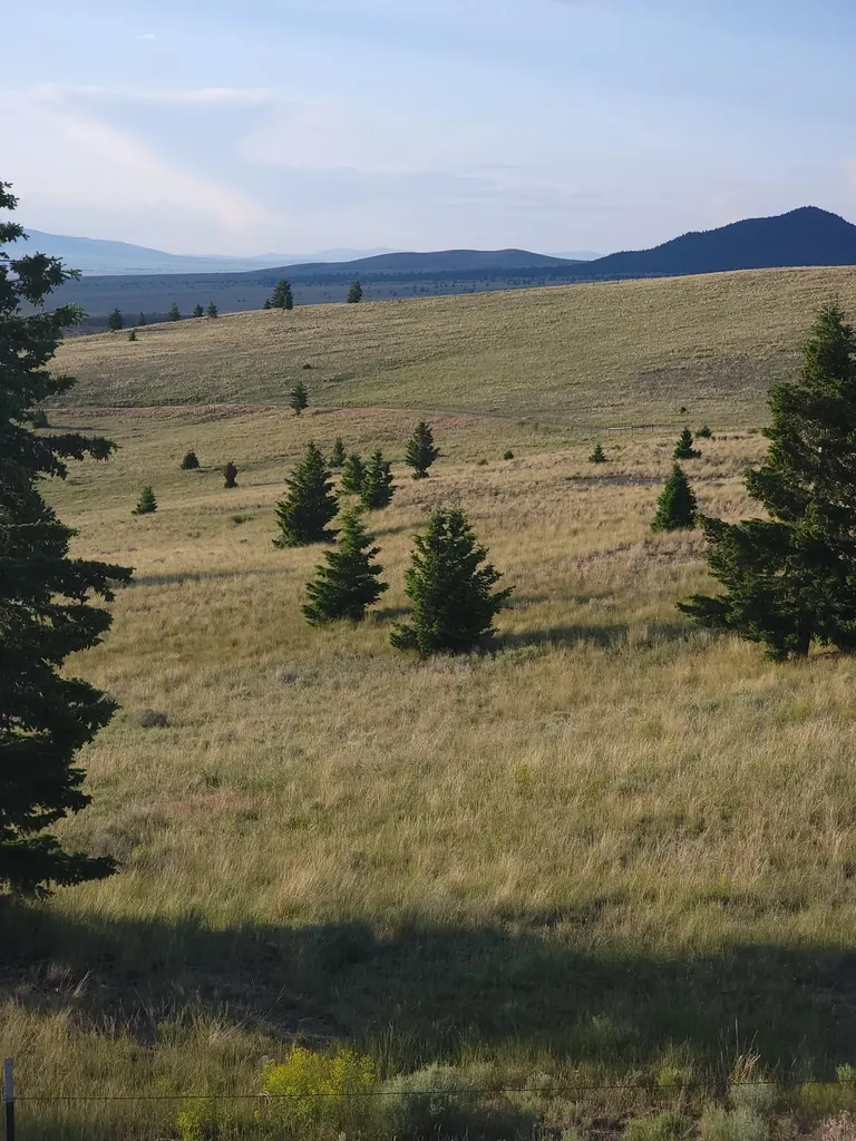 Tbd Gregson Gregson Lane Anaconda MT 59711