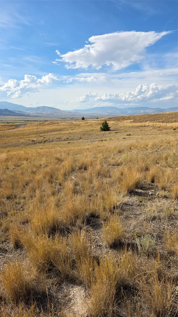 Tbd Gregson Gregson Lane Anaconda MT 59711