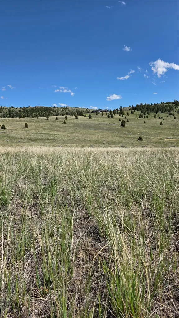 Tbd Gregson Gregson Lane Anaconda MT 59711