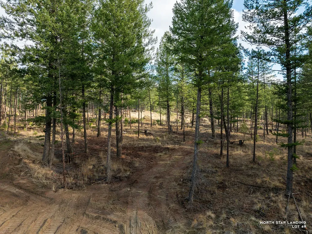 Lot 49 Basin Bend Eureka MT 59917