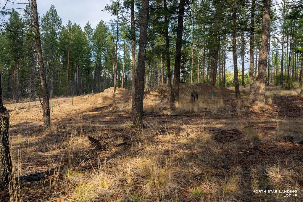 Lot 49 Basin Bend Eureka MT 59917