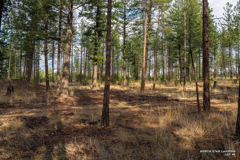 Lot 49 Basin Bend Eureka MT 59917