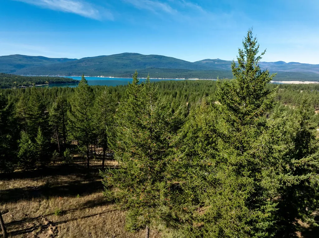 Lot 49 Basin Bend Eureka MT 59917