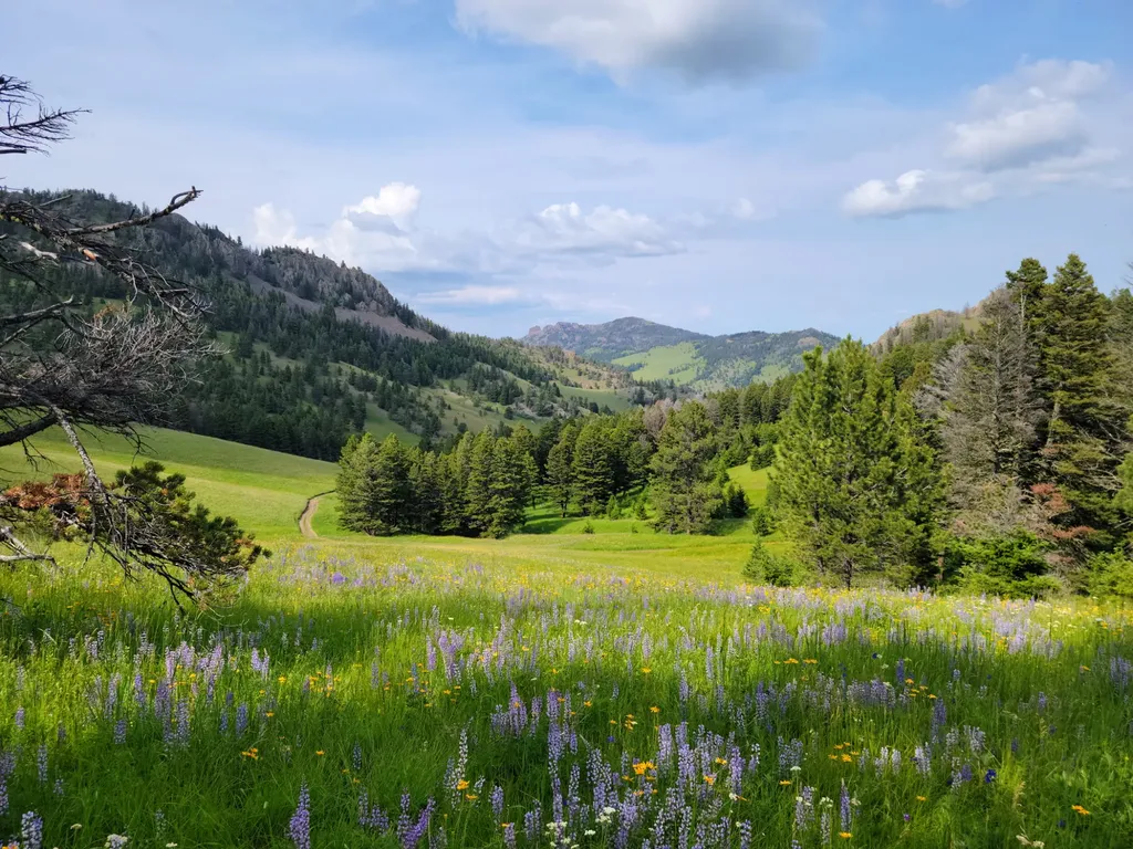 153 Black Canyon Lane Cascade MT 59421