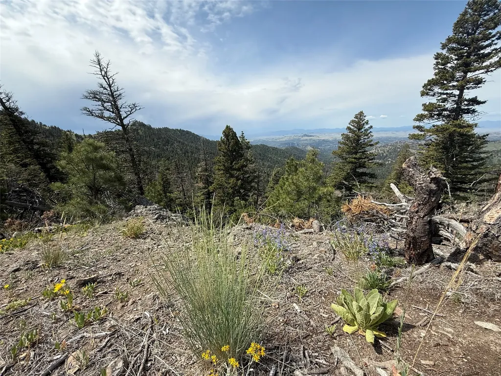 00 Sudden Valley Property Cascade MT 59421