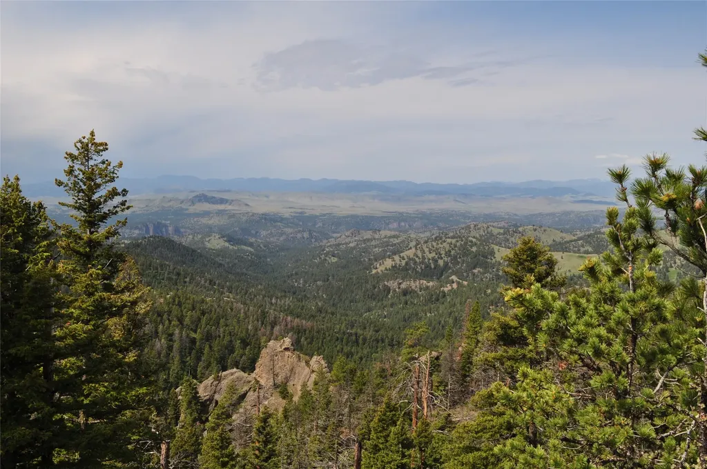 153 Black Canyon Lane Cascade MT 59421