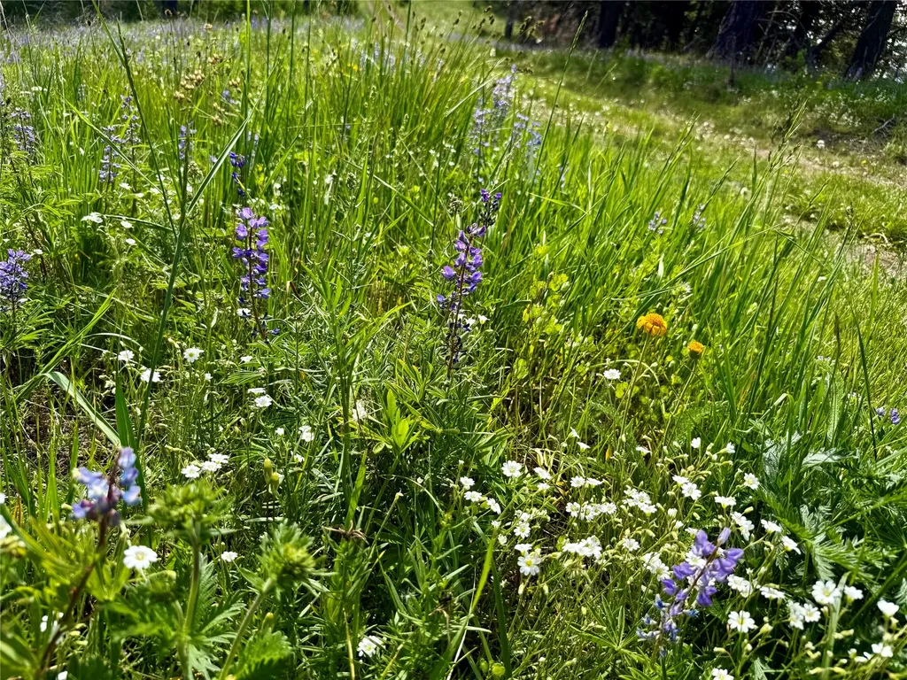 00 Sudden Valley Property Cascade MT 59421
