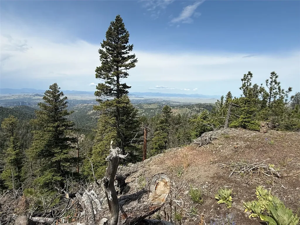 153 Black Canyon Lane Cascade MT 59421