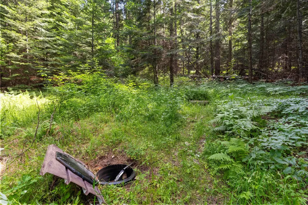 90 Ocallahan Lane Trout Creek MT 59874