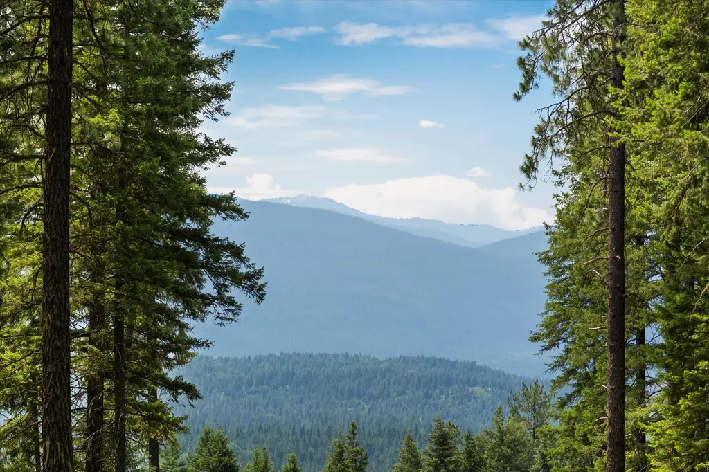 90 Ocallahan Lane Trout Creek MT 59874