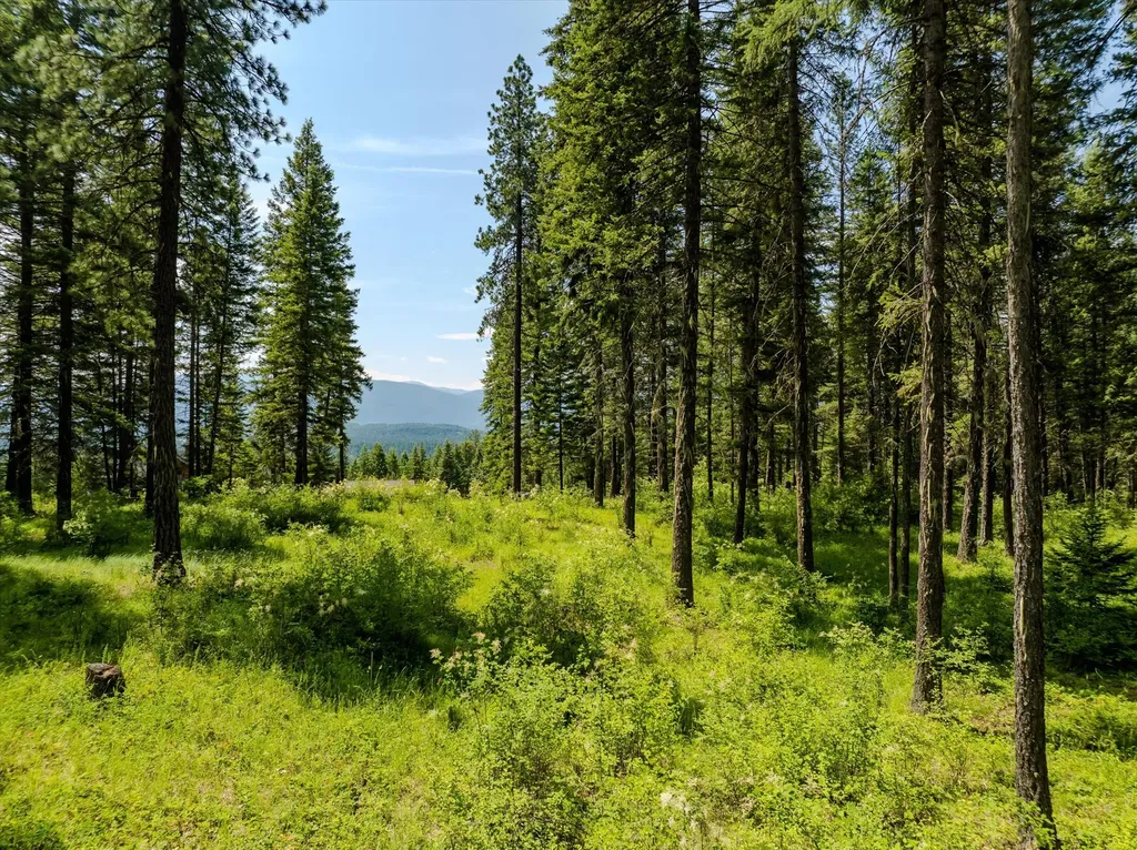 90 Ocallahan Lane Trout Creek MT 59874
