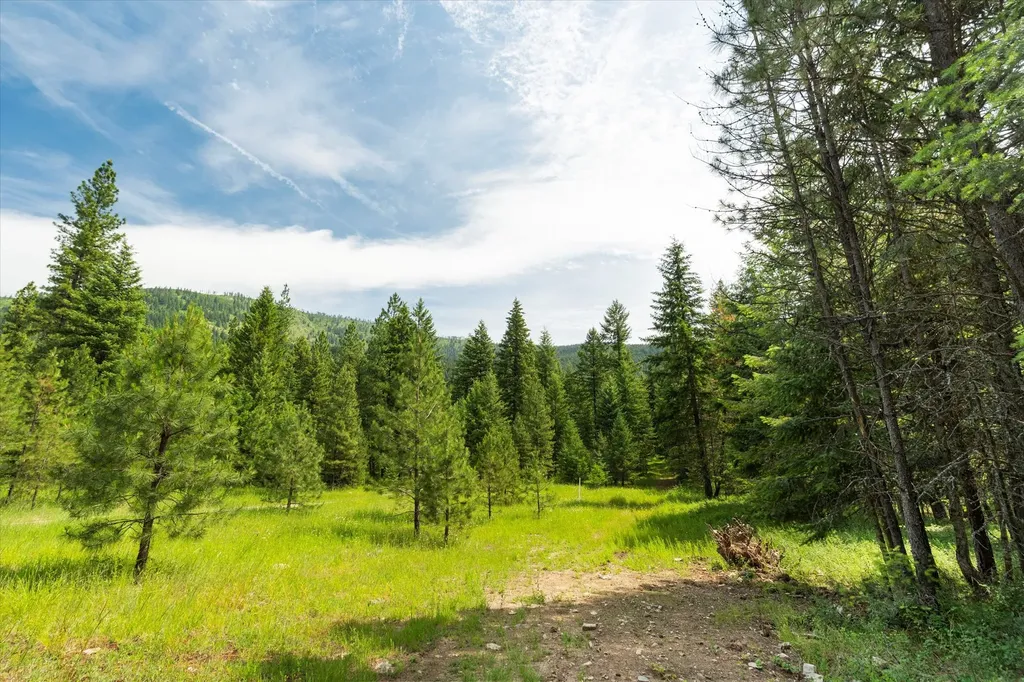90 Ocallahan Lane Trout Creek MT 59874