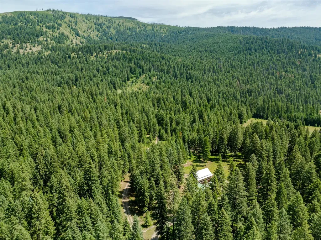 90 Ocallahan Lane Trout Creek MT 59874