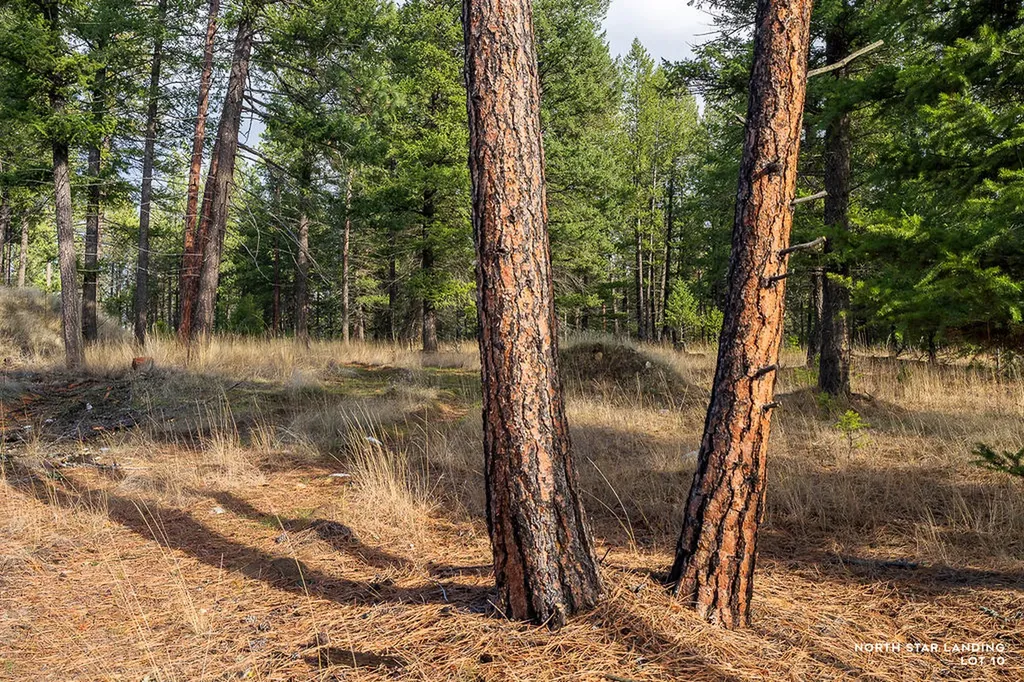Lot 10 Lake Heights Eureka MT 59917