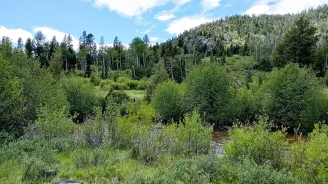 Tbd Moose Lake Road Philipsburg MT 59858