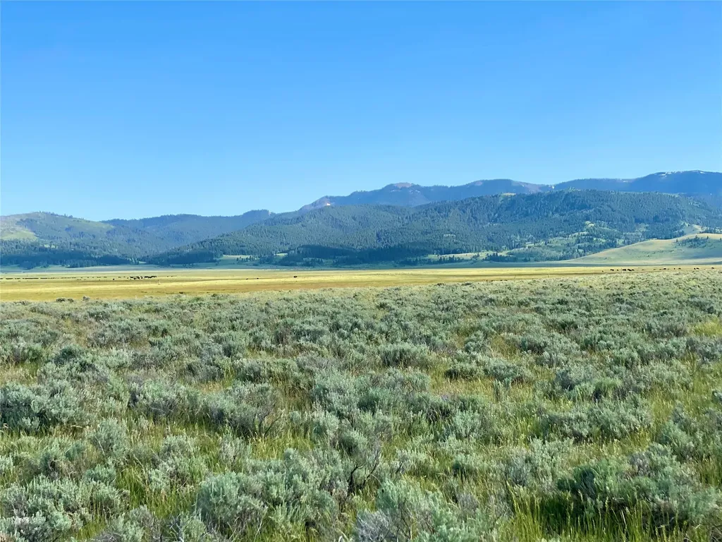 Tbd Brundage Lane Lima MT 59739