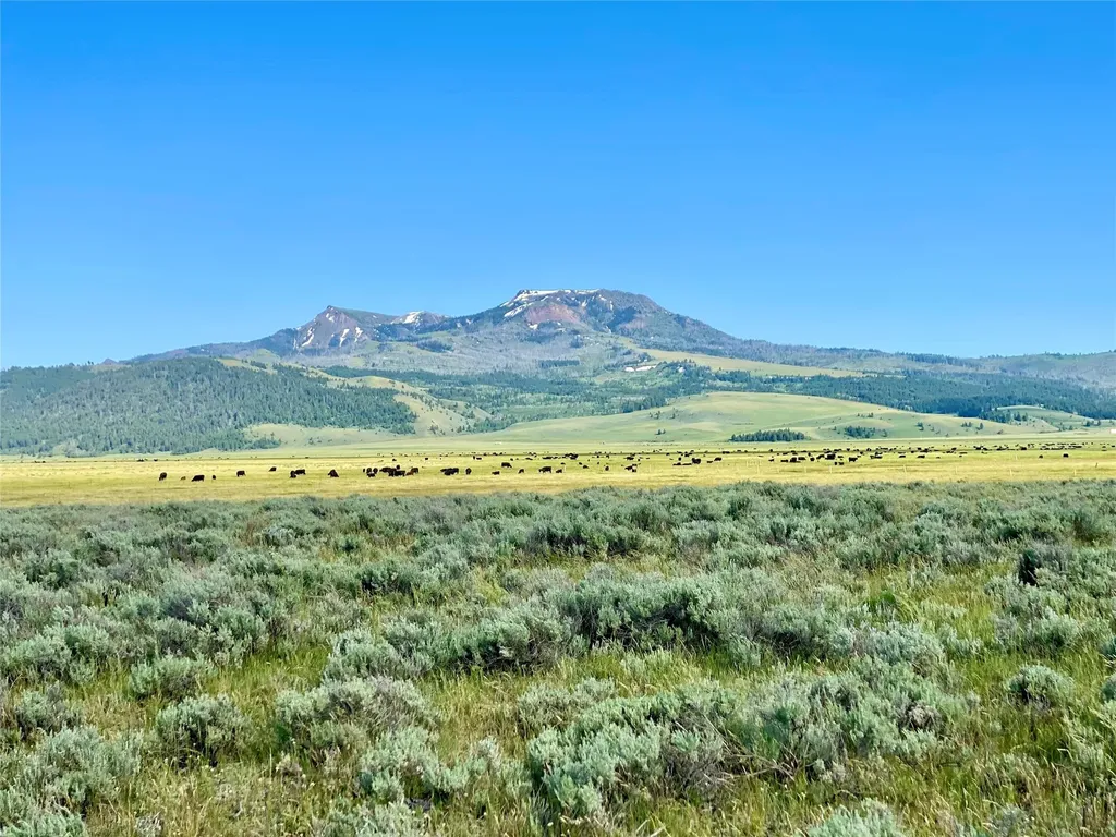 Tbd Brundage Lane Lima MT 59739
