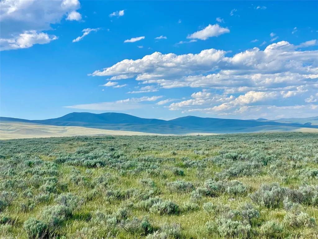 Tbd Brundage Lane Lima MT 59739