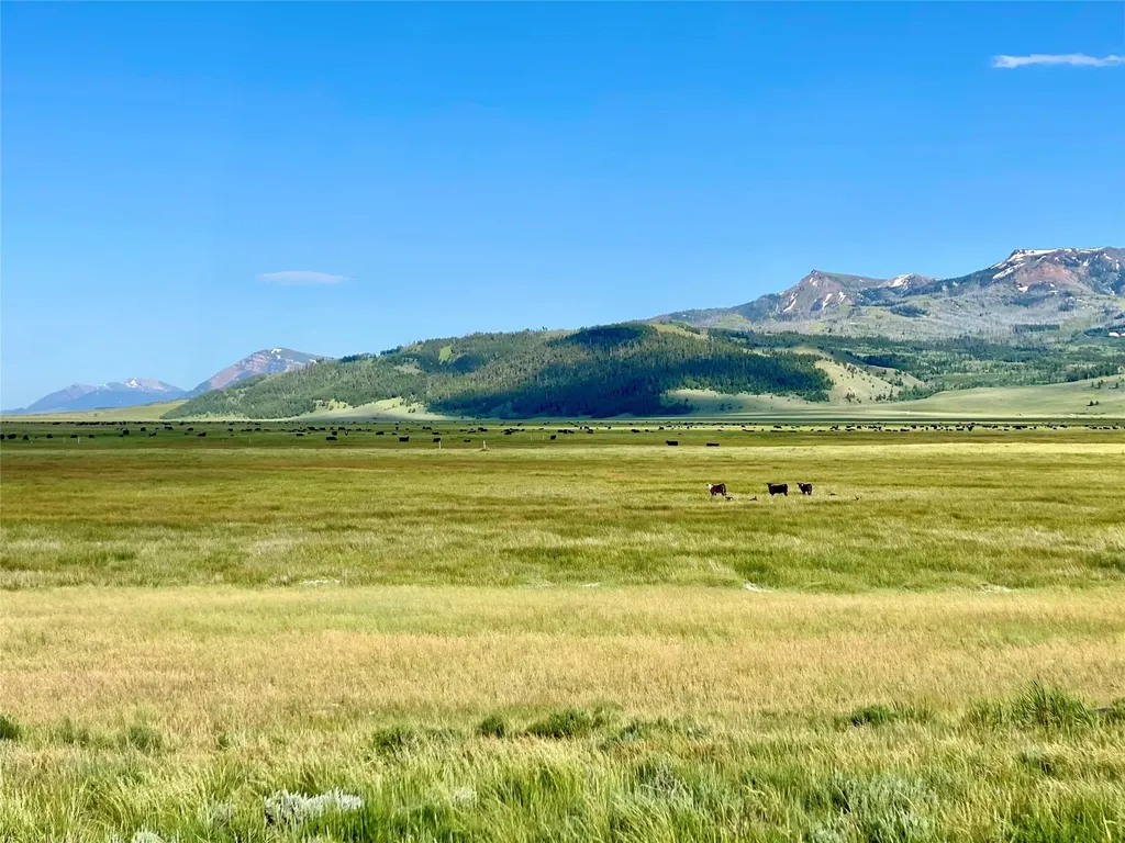 Tbd Brundage Lane Lima MT 59739