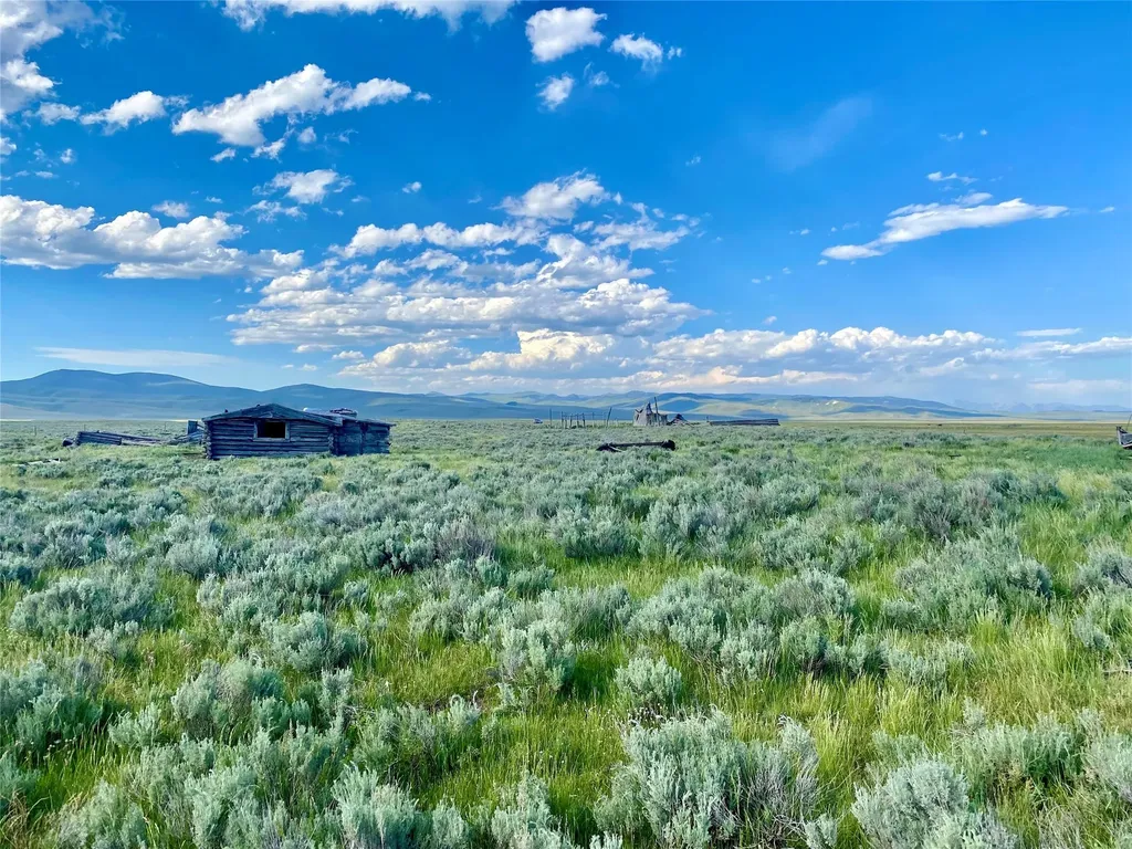 Tbd Brundage Lane Lima MT 59739