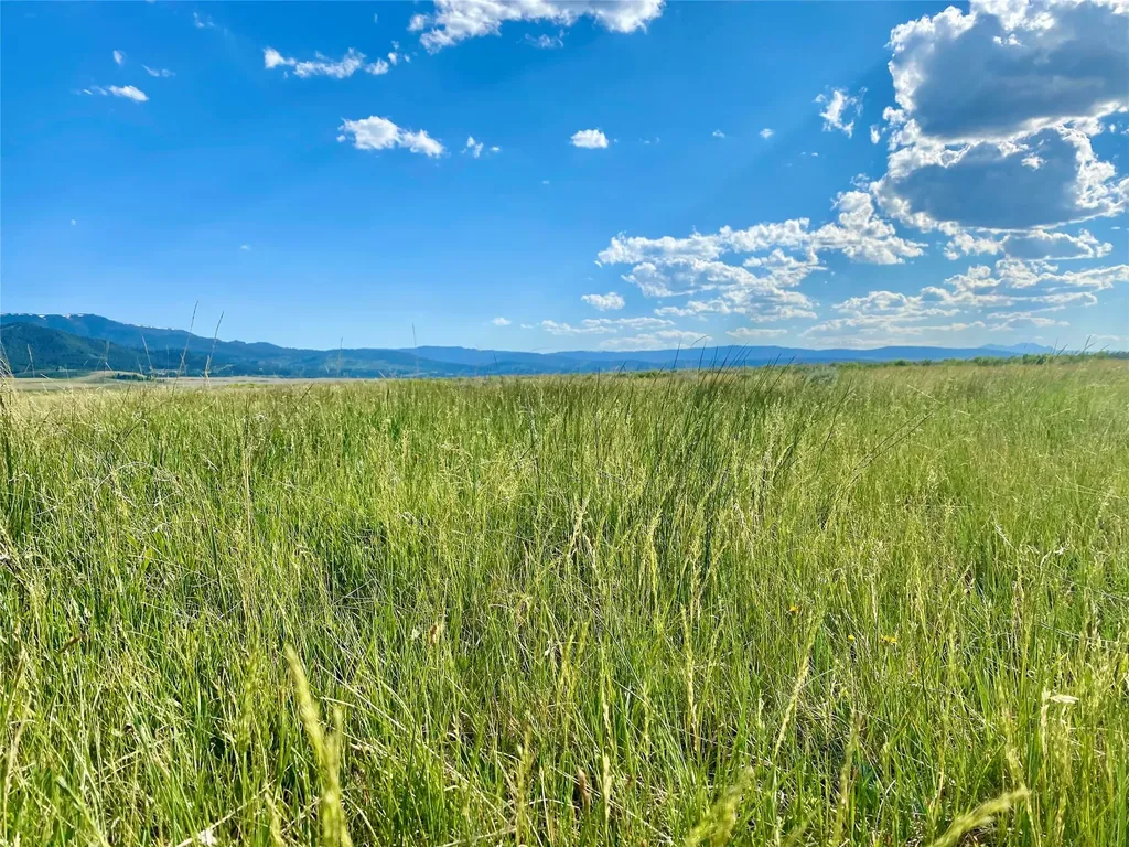 Tbd Brundage Lane Lima MT 59739