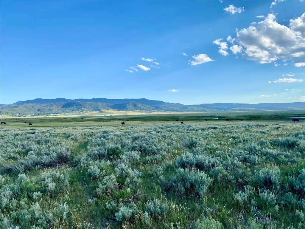 Tbd Brundage Lane Lima MT 59739