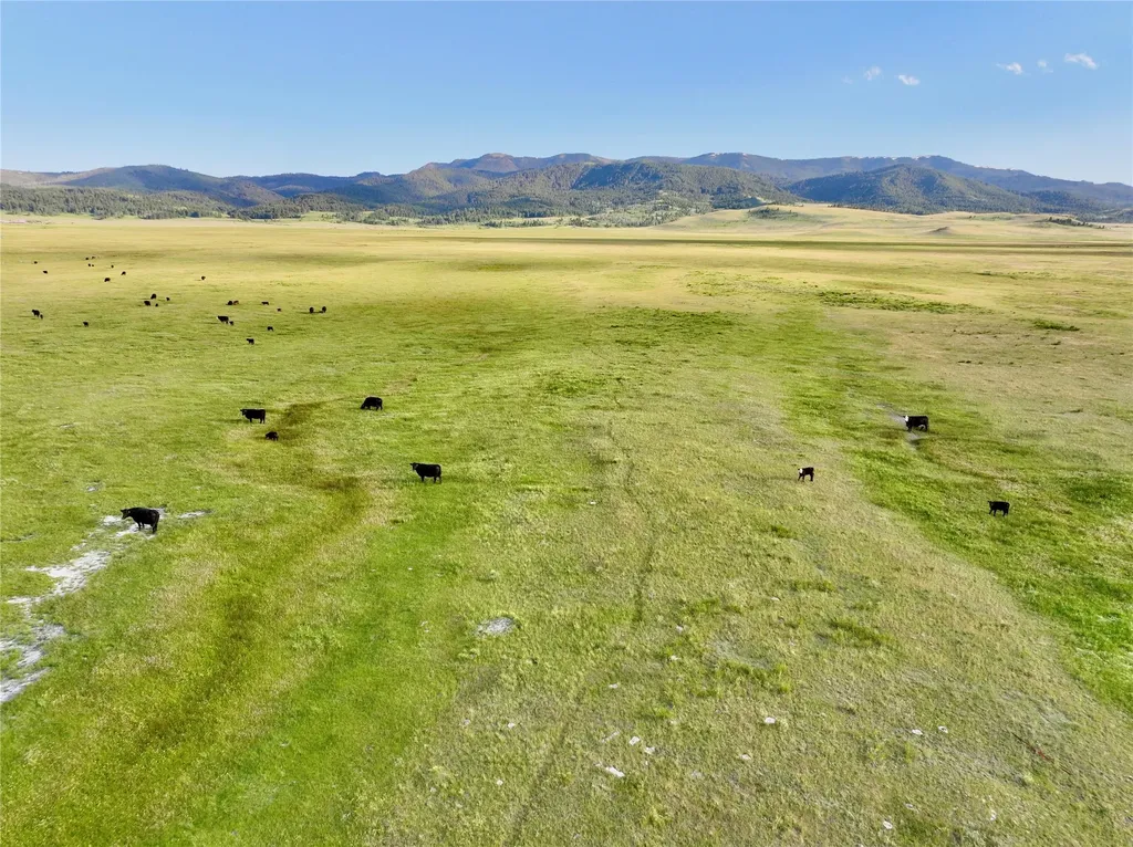 Tbd Brundage Lane Lima MT 59739