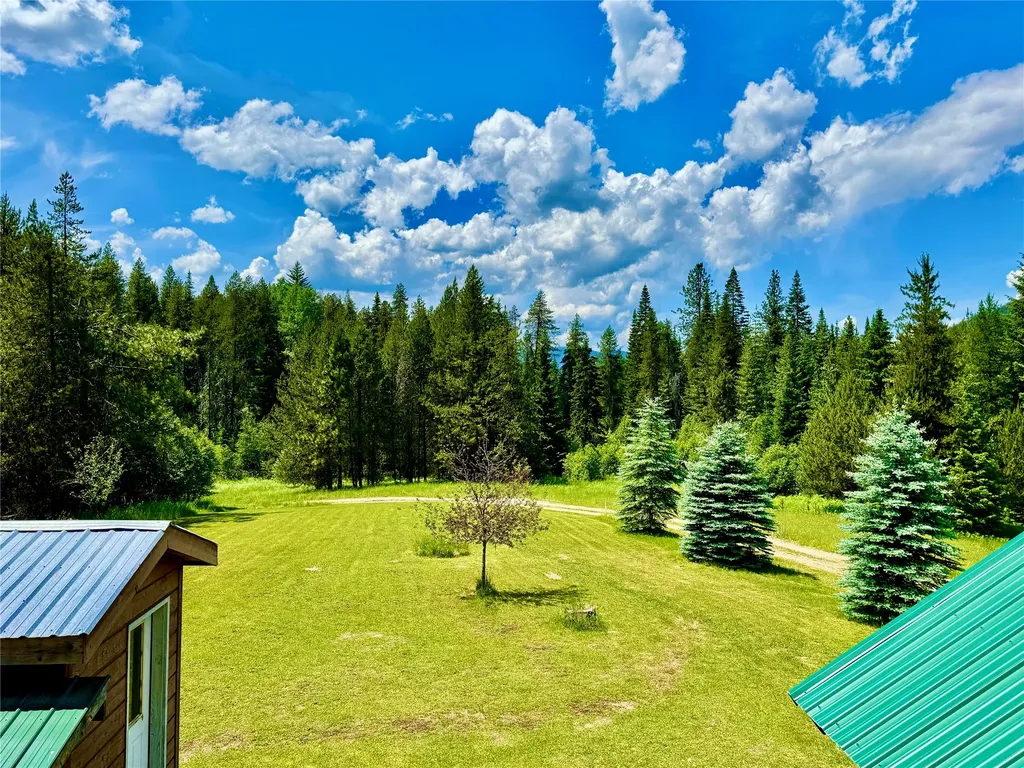 17 Twenty Peak Gulch Lane Trout Creek MT 59874