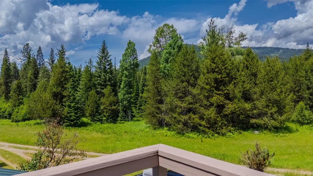 17 Twenty Peak Gulch Lane Trout Creek MT 59874