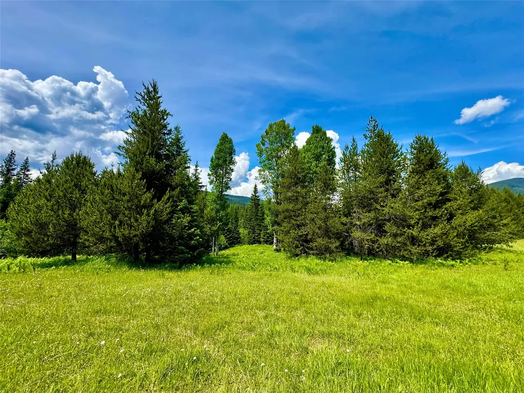 17 Twenty Peak Gulch Lane Trout Creek MT 59874