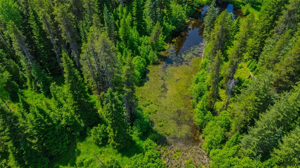 17 Twenty Peak Gulch Lane Trout Creek MT 59874
