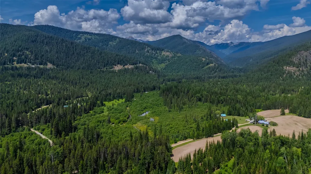17 Twenty Peak Gulch Lane Trout Creek MT 59874