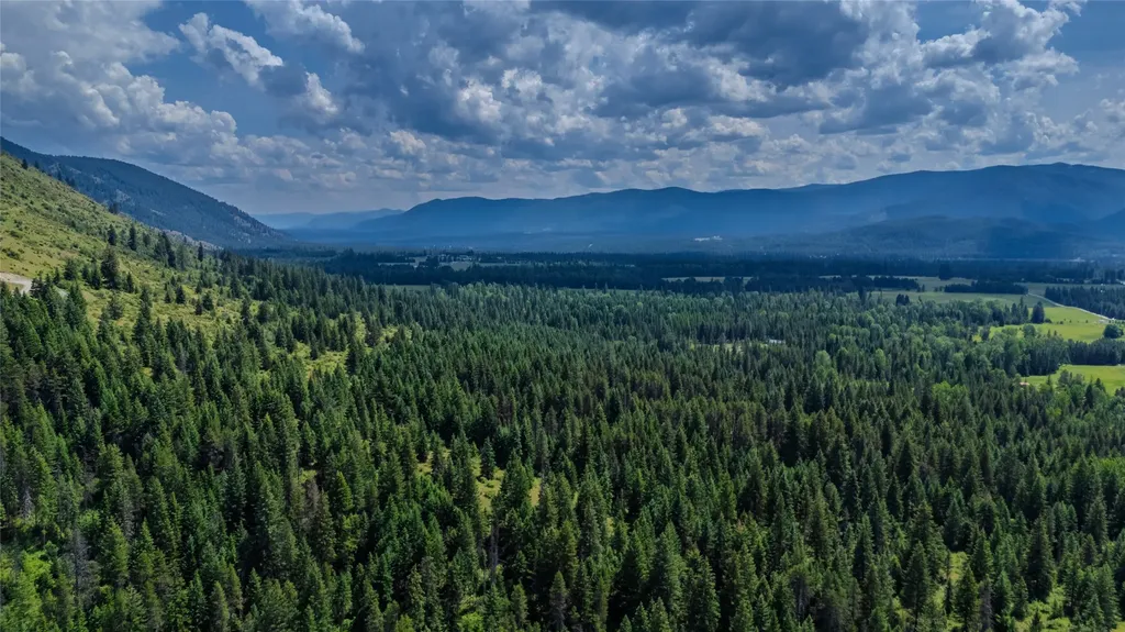 17 Twenty Peak Gulch Lane Trout Creek MT 59874