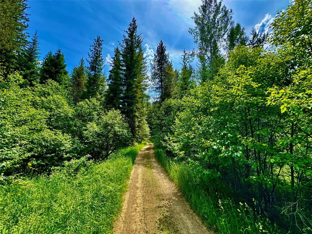 17 Twenty Peak Gulch Lane Trout Creek MT 59874
