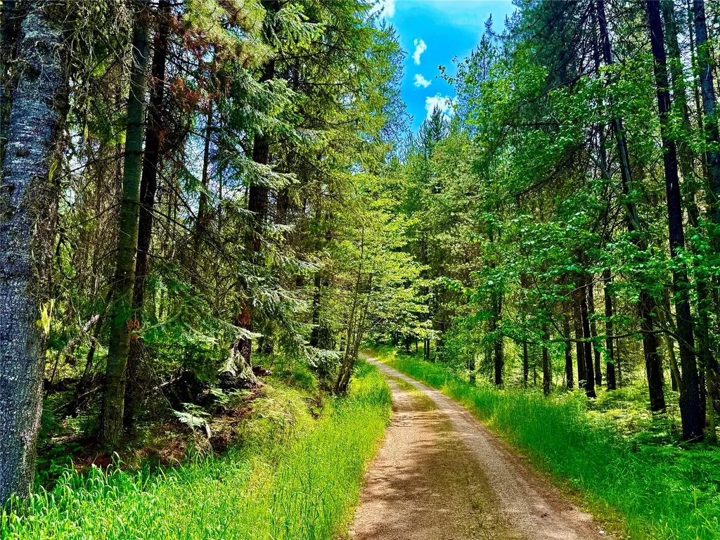 17 Twenty Peak Gulch Lane Trout Creek MT 59874