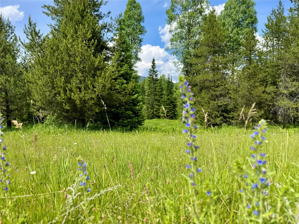 17 Twenty Peak Gulch Lane Trout Creek MT 59874